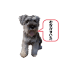 大塚家の翔くん（個別スタンプ：12）