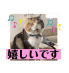 毎日ほっこりさくちゃん5（個別スタンプ：9）