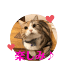 毎日ほっこりさくちゃん5（個別スタンプ：10）