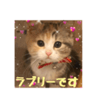 毎日ほっこりさくちゃん5（個別スタンプ：18）