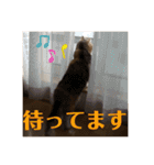 毎日ほっこりさくちゃん5（個別スタンプ：27）
