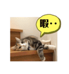 毎日ほっこりさくちゃん5（個別スタンプ：28）