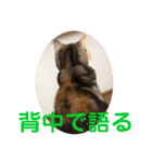 毎日ほっこりさくちゃん5（個別スタンプ：32）