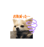 MEIREOCOCO（個別スタンプ：3）