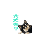 MEIREOCOCO（個別スタンプ：5）
