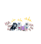 MEIREOCOCO（個別スタンプ：7）
