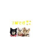 MEIREOCOCO（個別スタンプ：8）