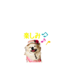MEIREOCOCO（個別スタンプ：9）