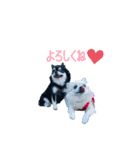 MEIREOCOCO（個別スタンプ：12）