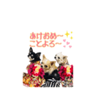 MEIREOCOCO（個別スタンプ：16）