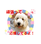 フッカフカのフッカ・その2（個別スタンプ：14）