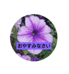 花のあいさつスタンプ（個別スタンプ：4）