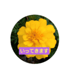 花のあいさつスタンプ（個別スタンプ：5）