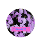 花のあいさつスタンプ（個別スタンプ：11）