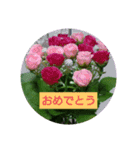 花のあいさつスタンプ（個別スタンプ：16）