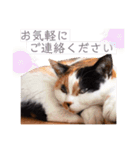 ビジネスニャーちゃんのスタンプ（個別スタンプ：4）