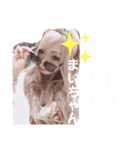 まいちゃんのすたんぷだよぉ♡（個別スタンプ：22）