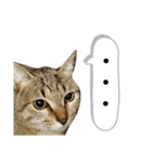 ねこのちくわ②（個別スタンプ：13）