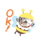 Pスタイル2（個別スタンプ：4）