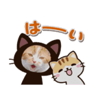 Pスタイル2（個別スタンプ：6）