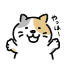 みけ みけ くらぶ（個別スタンプ：4）
