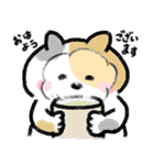 みけ みけ くらぶ（個別スタンプ：5）