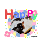 ニャンコ先生達（個別スタンプ：2）