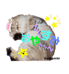 ニャンコ先生達（個別スタンプ：8）