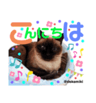 ニャンコ先生達（個別スタンプ：14）