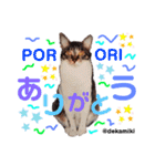 ニャンコ先生達（個別スタンプ：15）