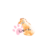 クレマ☆のんびりわんこ（個別スタンプ：22）