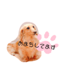 クレマ☆のんびりわんこ（個別スタンプ：29）
