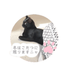 クロネコくぅにゃんスタンプ（個別スタンプ：2）