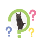 クロネコくぅにゃんスタンプ（個別スタンプ：16）