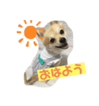 ぽめちーの日常（個別スタンプ：1）
