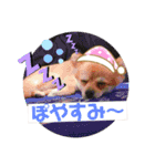 ぽめちーの日常（個別スタンプ：2）