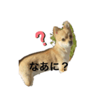 ぽめちーの日常（個別スタンプ：9）