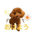 もっぷさんの日常（個別スタンプ：1）