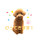 もっぷさんの日常（個別スタンプ：5）