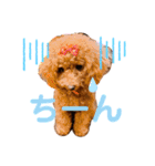 もっぷさんの日常（個別スタンプ：6）