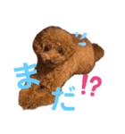 もっぷさんの日常（個別スタンプ：10）