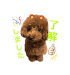 もっぷさんの日常（個別スタンプ：11）