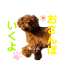 もっぷさんの日常（個別スタンプ：12）
