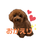 もっぷさんの日常（個別スタンプ：14）