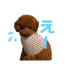 もっぷさんの日常（個別スタンプ：15）