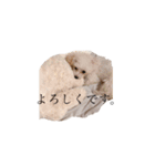 ぺろちの毎日！2（個別スタンプ：11）
