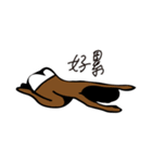 ハロー黒人-（個別スタンプ：3）