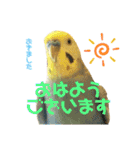 我が家のかわいんこ3（個別スタンプ：1）