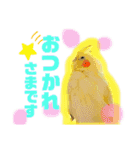 我が家のかわいんこ3（個別スタンプ：3）