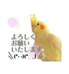 我が家のかわいんこ3（個別スタンプ：7）